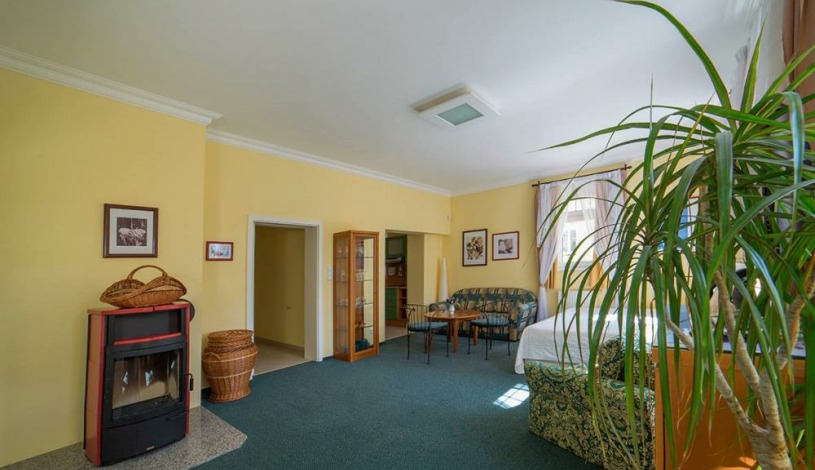 Festival Apartments Karlovy Vary